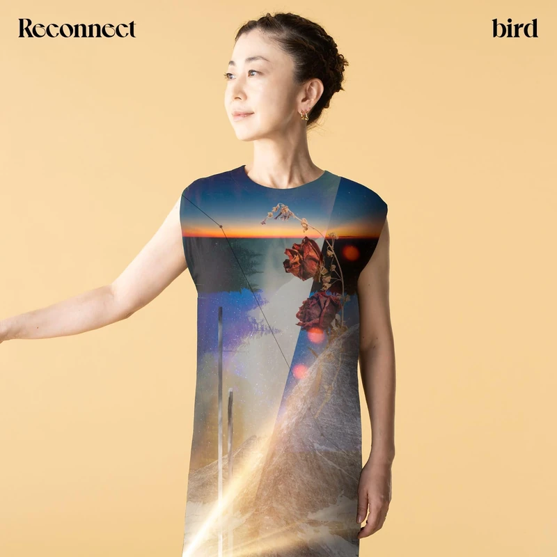 Reconnect [Vinyl LP] [VINYL]