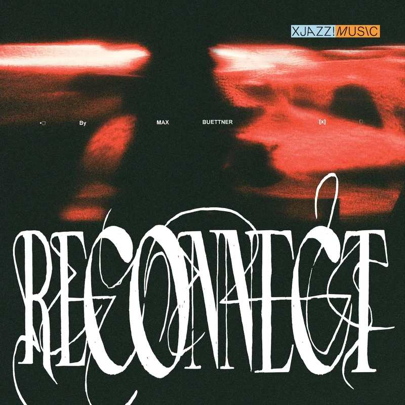 Reconnect [VINYL]