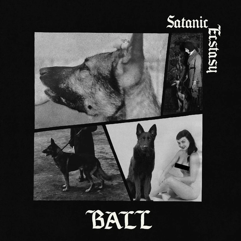 Satanic Ecstasy [Explicit]