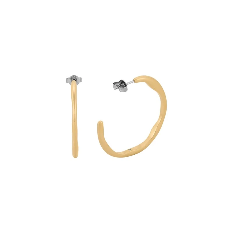 Skagen Women's Gold tone Stainless Steel or Semi- Precious with post closure Earrings, Matte Gold