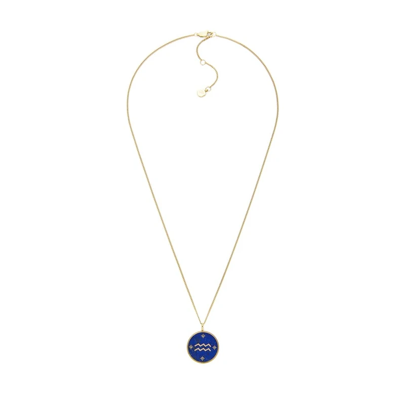 Fossil Women's Stainless Steel with lobster clasp closure Round zodiac pendant necklace - Image 1