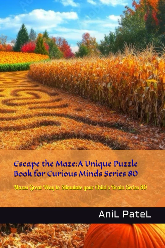 Escape the Maze:A Unique Puzzle Book for Curious Minds Series 80: Mazes a Great Way to Stimulate your Child's Brain Series 80