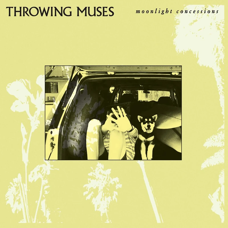 Moonlight Concessions [Explicit]