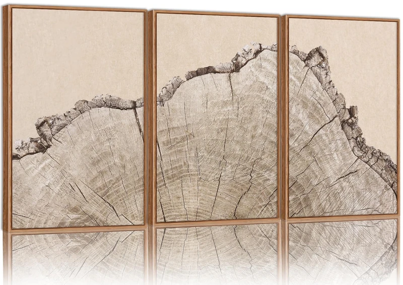 SIGNINART Large Tree Ring Framed Canvas Wall Art Set, Rustic Beige Nature Wooden Wall Decor, Neutral Wood Stump Artwork, Modern Art Prints for Bedroom Living Room Office 16"x24"x3
