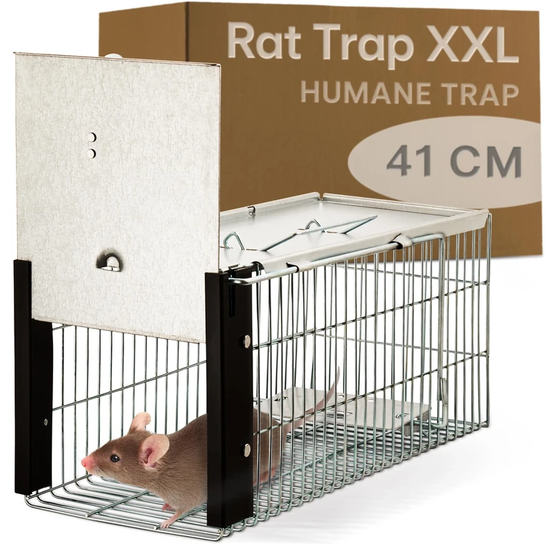Praknu Humane Rat Trap - Live Squirrel Cage Trap for Indoor & Outdoor - Extra large 41cm - Mice, Rats, Squirrel & Rodent - Animal Friendly & Reusable - Ready to Use