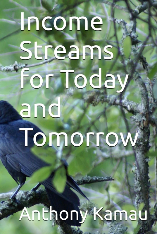 Income Streams for Today and Tomorrow: Book 1