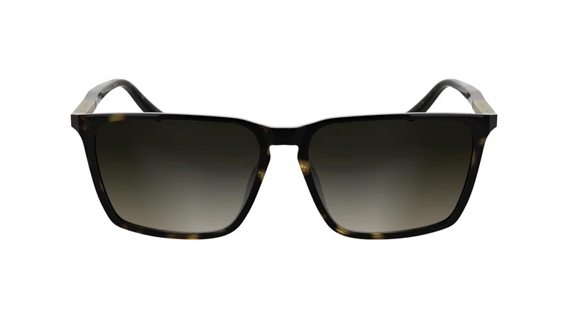 Calvin Klein Men's Sunglasses CK25505S - Havana with Gradient Brown Lens