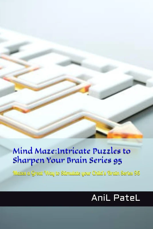 Mind Maze:Intricate Puzzles to Sharpen Your Brain Series 95: Mazes a Great Way to Stimulate your Child's Brain Series 95
