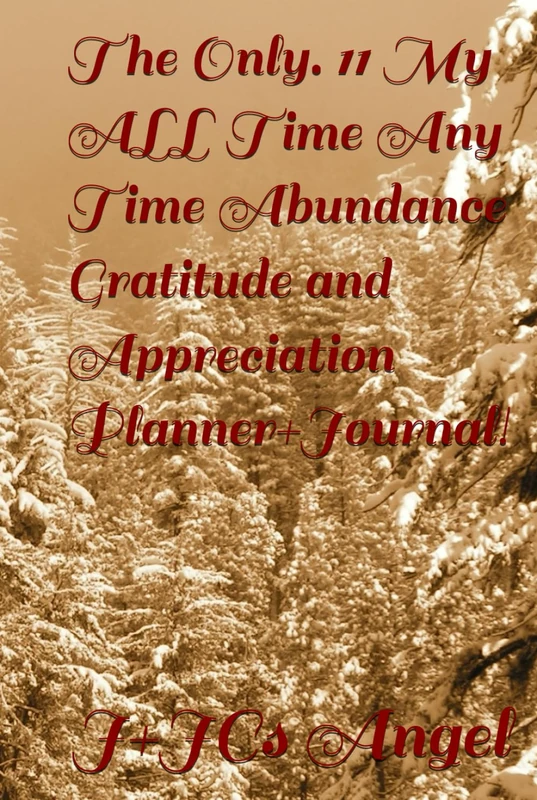 The Only. 11 My ALL time Any Time Abundance Gratitude and Appreciation Planner+Journal! - Image 1