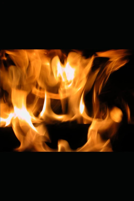 EDITED BOOKS OF PROVERBS AND ECCLESIASTICS: WISDOM STREAMS