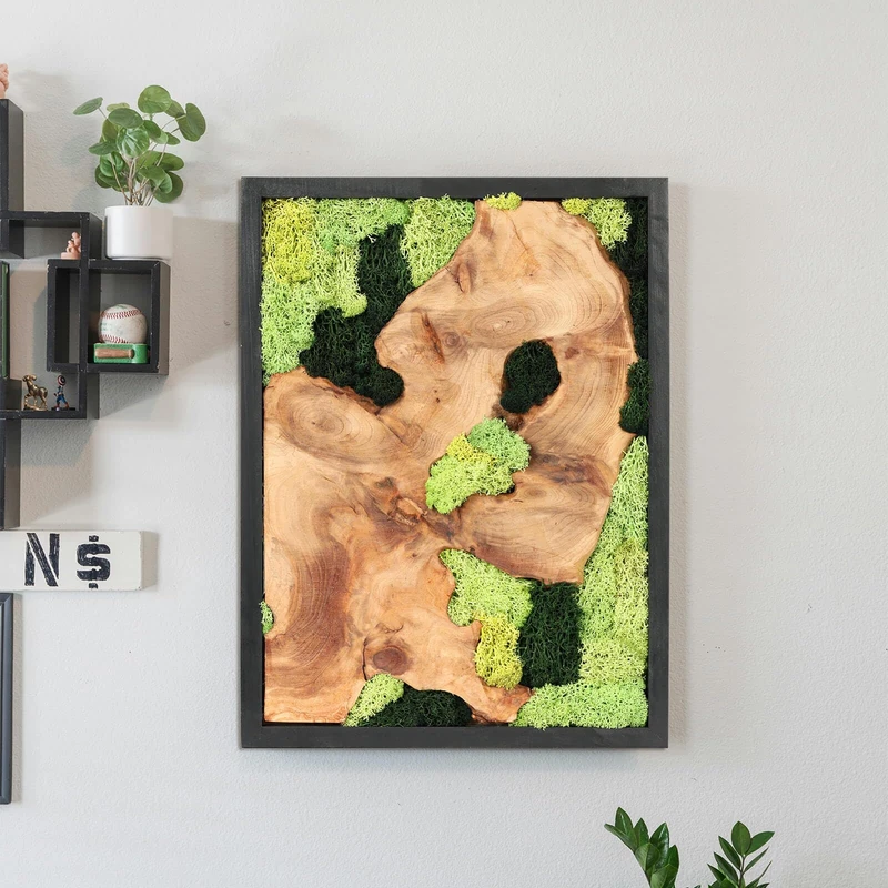 NAHARO Natural Preserved Moss Wall Art - Natural moss&wood Handcrafted Rustic Charm for Your Home- Unique Wall Hanging for Living Room, Bedroom, Office, or Kitchen - No Maintenance