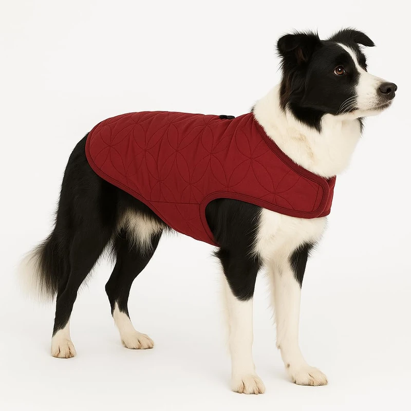 Flamingo WINTER COAT KODA BURGUNDY 50CM