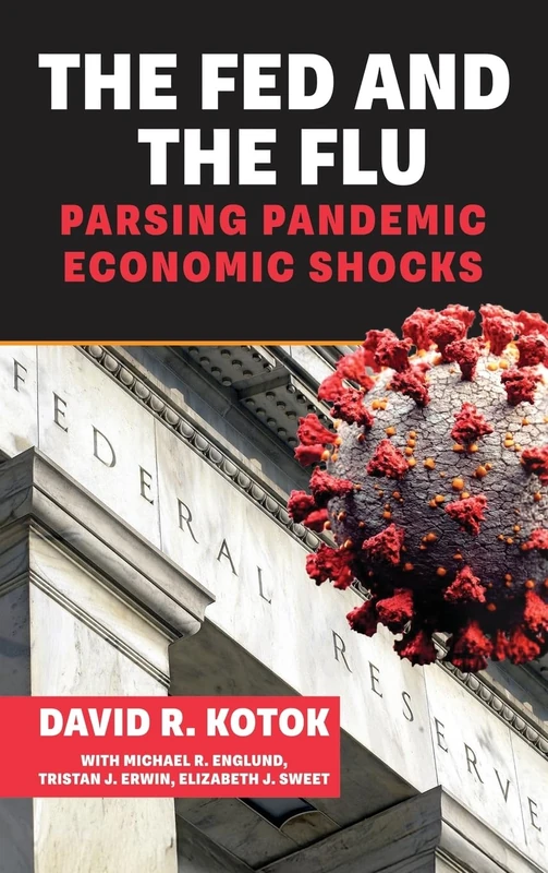 The Fed and the Flu: Parsing Pandemic Economic Shocks - Image 1