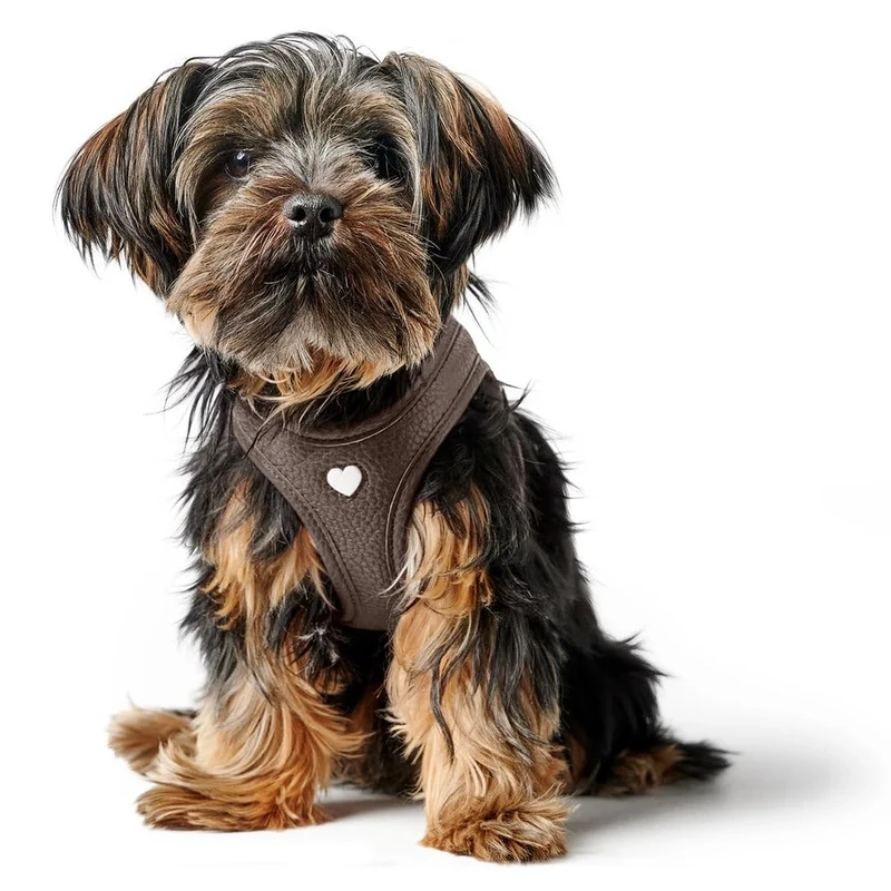 HUNTER Love Dog Harness, Colour: Brown, Soft Cowhide Leather, Breathable Mesh Padding, Heart Hand Stitched High Comfort, Made in Germany, Size: XS