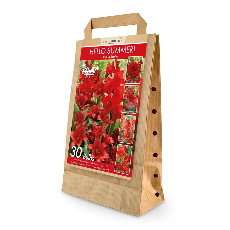 30 Hello Summer Red Summer Bulb Collection | Red Bulb Varieties | Eco Packaging | Plant Now Ready to Bloom in Summer