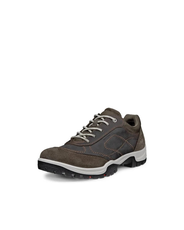 ECCO Xpedition III W Dark Clay Brown