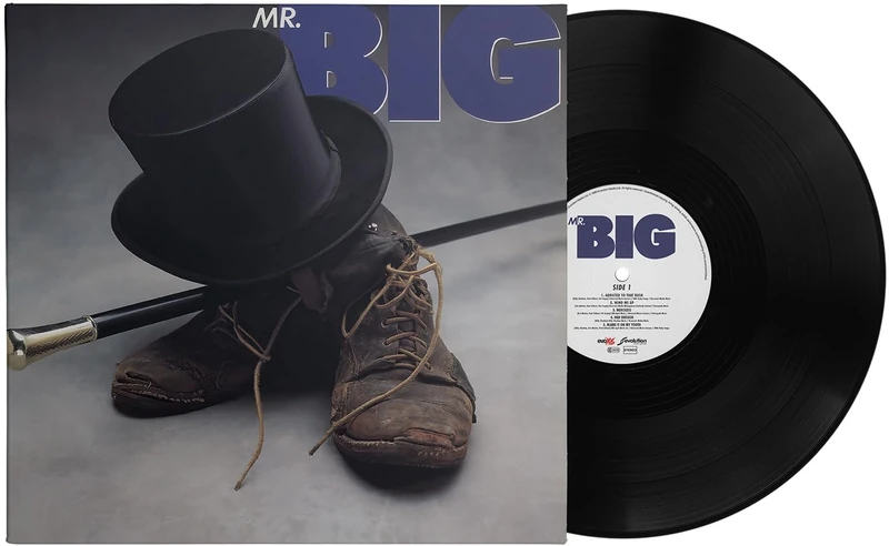 Mr. Big [VINYL]