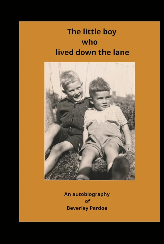 The Little Boy Who Lived Down The Lane - Image 1