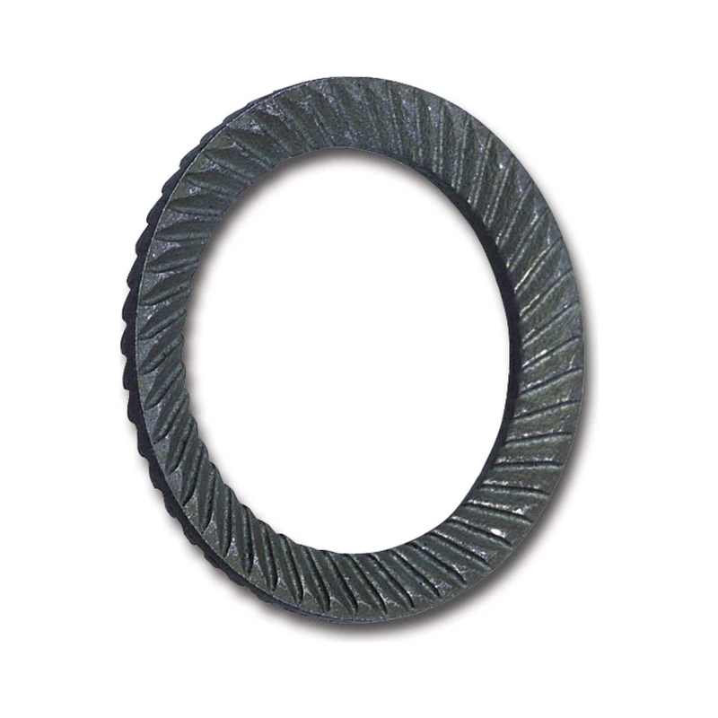 Schnorr Washer (Safety Washer) "S" for Diameter M2 Spring Hal Blank Blackened