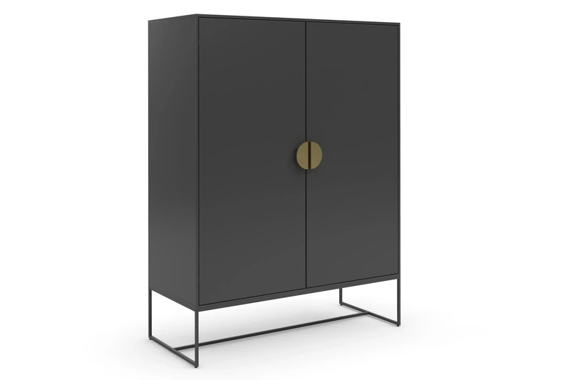 Dorel Home Asia Cabinet with 2 Doors in Anthracite