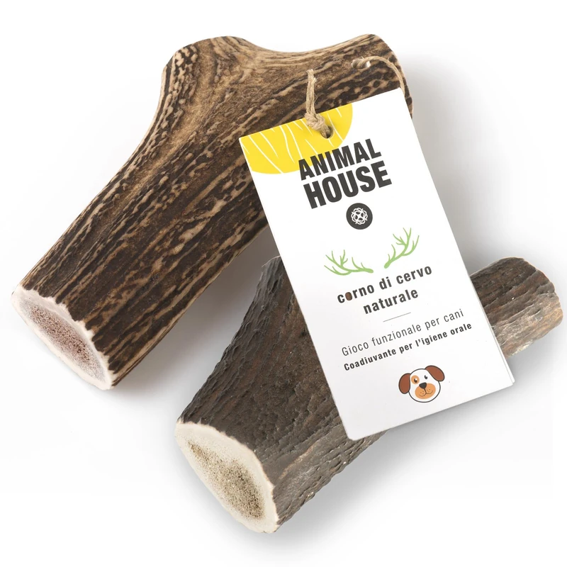 Animal House 2 Pieces Deer Antlers for Whole Dogs, 100% Natural Chewing, Strengthens Oral Hygiene, Strong and Durable, Available in (2, XXL)