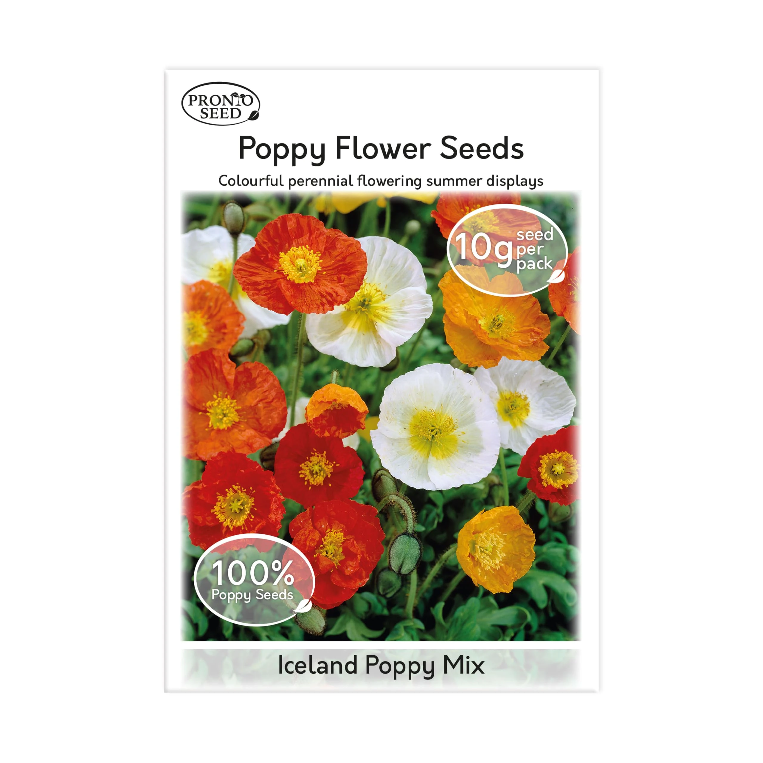 Pronto Seed Iceland Poppy Wildflower Seeds UK - Hardy Perennial Remembrance Flower for Gardens & Borders - Easy-Grow Flower Seeds That Return Yearly - Attracts Bees & Pollinators (Iceland Poppy, 10g)