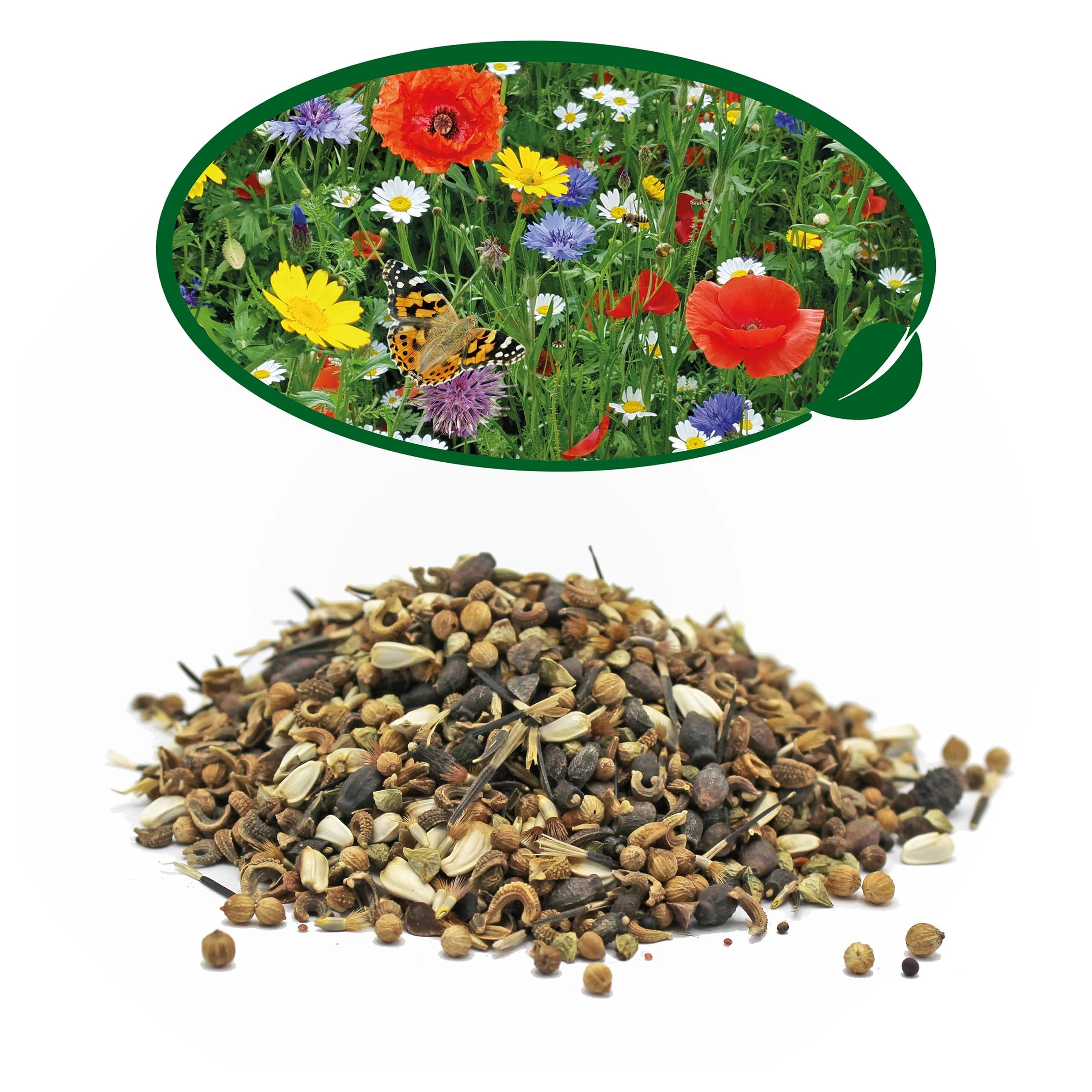 Pronto Seed Wildflower Seeds UK Mixed Variety Garden Pack - Seed Mix for Outdoor Blooms from May to October - Easy-Grow Native British Flowers for Beds, Borders & Containers (100g Bag)