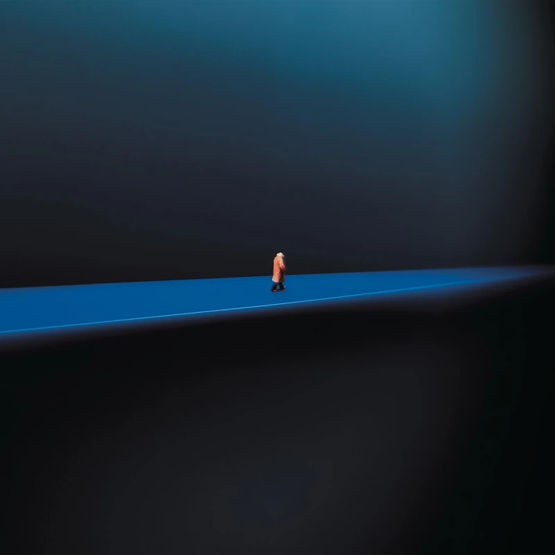 De Janvier À Janvier [VINYL]