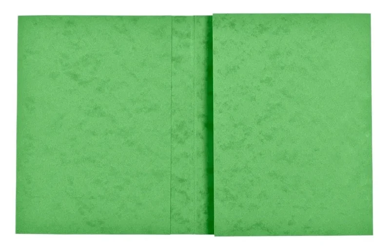 Exacompta - Ref 35123E - Box of 80 notebooks 24 x 32 cm in Genuine Glossy Card with Labelling Field - Ideal for School, College, Universities - Lime Wood Colour