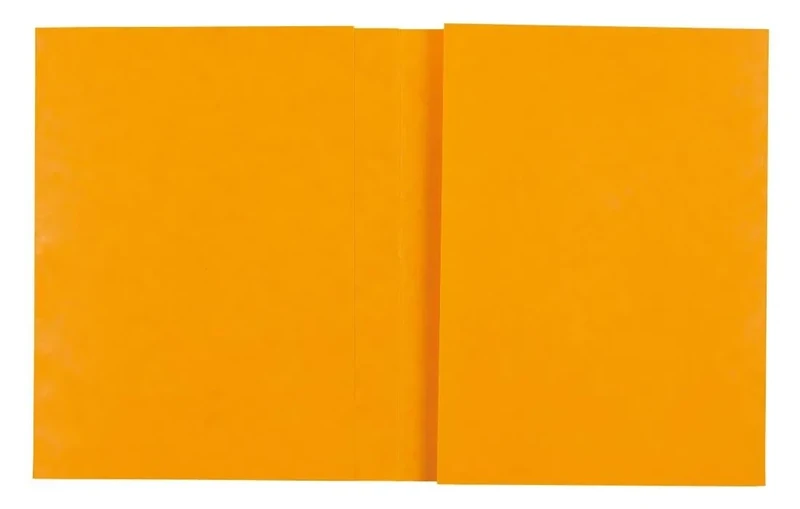 Exacompta - Ref 35129E - Box of 80 notebooks 24 x 32 cm in Genuine Glossy Card with Labelling Field - Ideal for School, College, Universities - Colour: Yellow