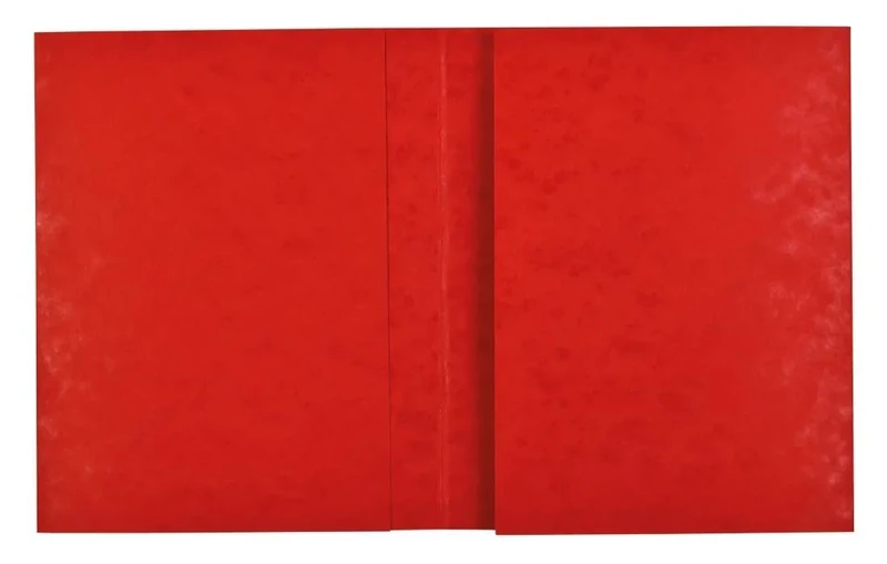 Exacompta - Ref 35125E - Box of 80 Notebook Covers 24 x 32 cm in Real Glossy Card, with Labelling Field - Ideal for School, College, Universities - Colour: red