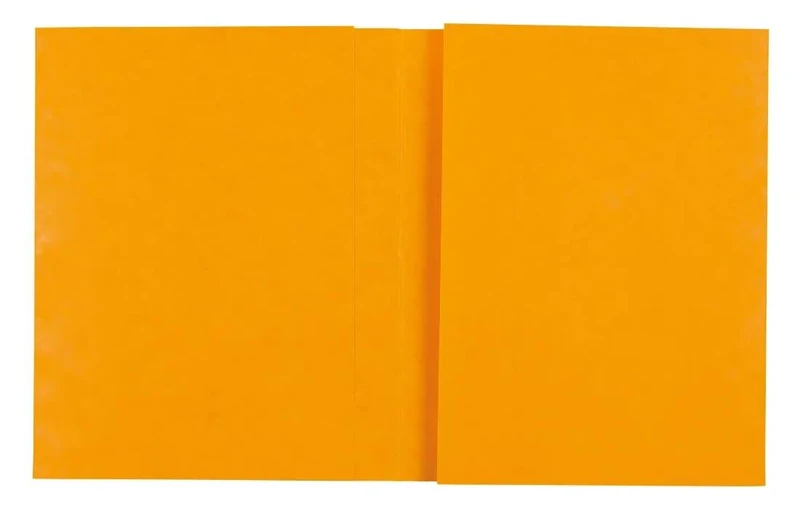 Exacompta - Ref 32129E - Box of 100 Notebook Covers 17 x 22 cm in Genuine Glossy Card, with Labelling Field - Ideal for School, College, Universities - Colour: Yellow - Image 1