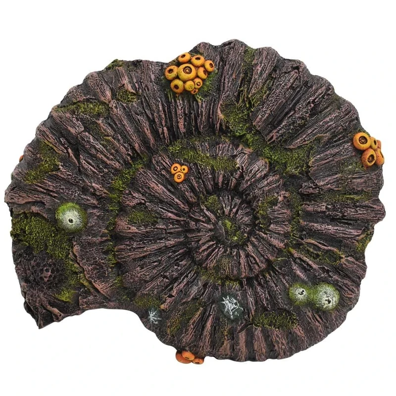 Nobby Aqua Ornaments Ammonite Fossil 33.8 x 28.5 x 10 cm