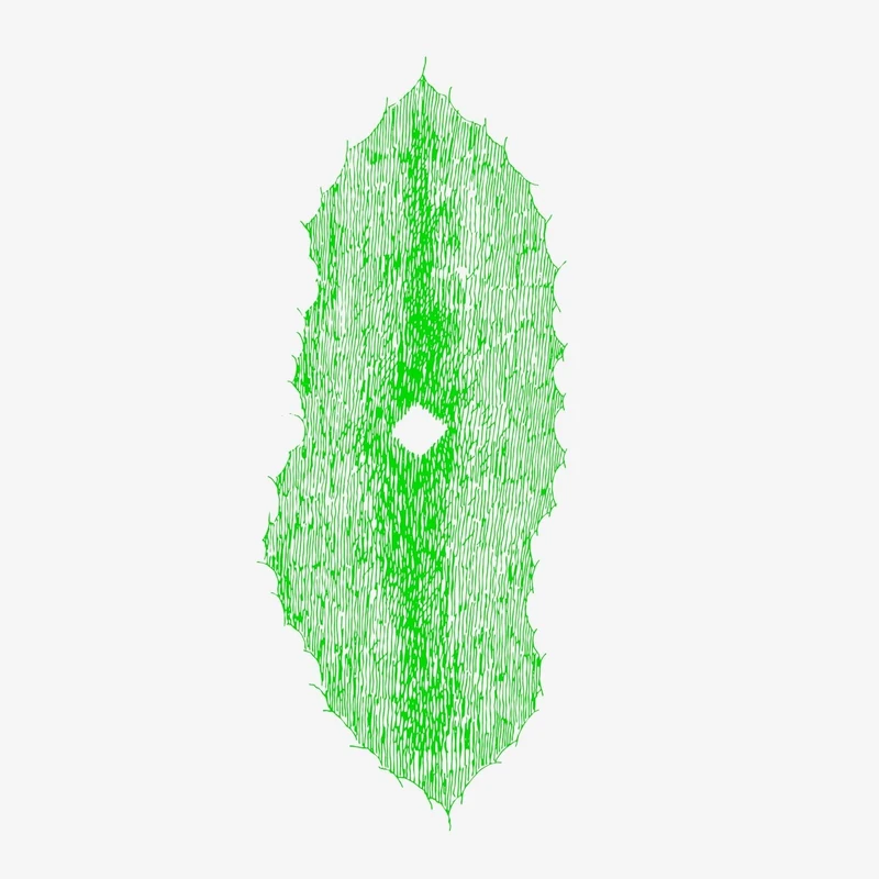 Transition - Indie and Alternative Digital Music - Image 1