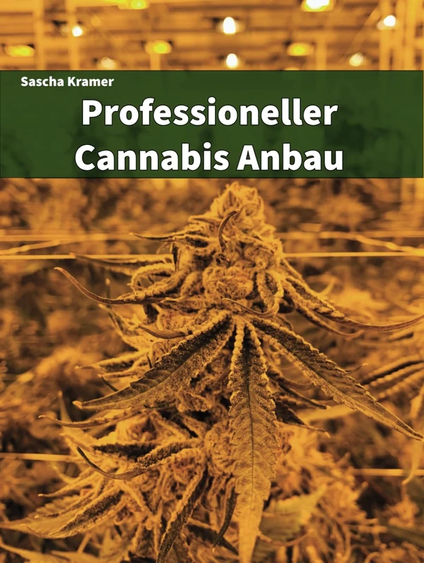 Professioneller Cannabisanbau