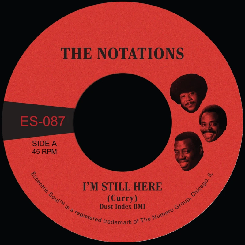 I'm Still Here/What More Can I Say [7" VINYL]