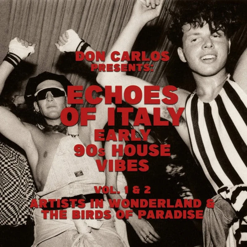 Echoes Of Italy - Early 90s House Vibes Vol. 1: Artists In Wonder [VINYL]