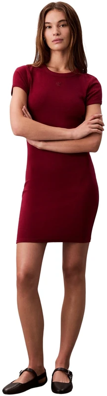 Calvin Klein Women’s Mini T-Shirt Dress with Round Neck, Red (Magenta Jewel), L