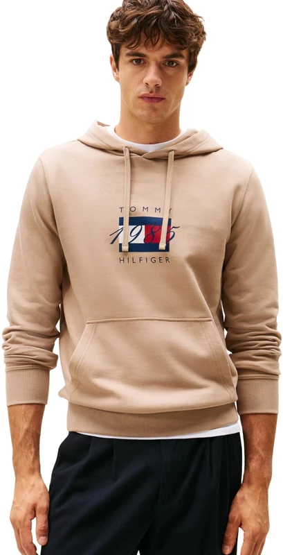 Tommy Hilfiger Men’s Linear Flag Graphic Cotton Hoodie, Beige (Coastal Taupe), XL