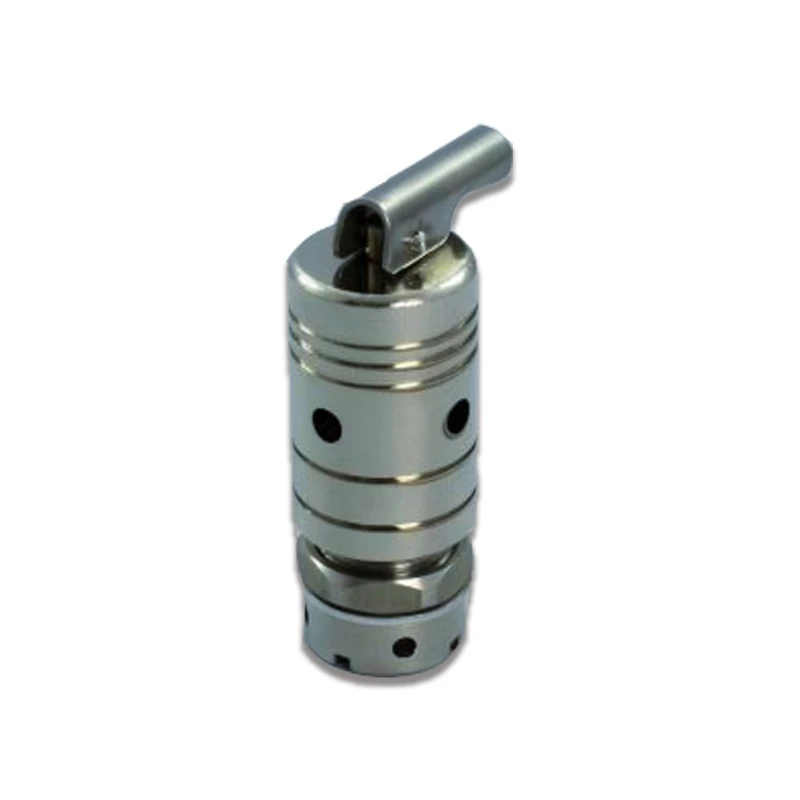 DL SERVICE Lagostina Exercise Valve Compatible with Pressure Cooker, Stainless Steel, Quality Replacement