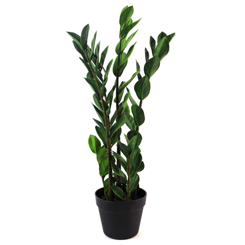 Botanik 75cm Artificial Zanzibar Green Gem Zamioculcas Succulent Indoor Plant