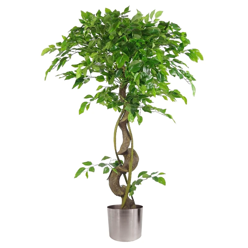 Botanik 120cm Twisted Trunk Artificial Japanese Fruticosa Style Ficus Tree Silver Planter