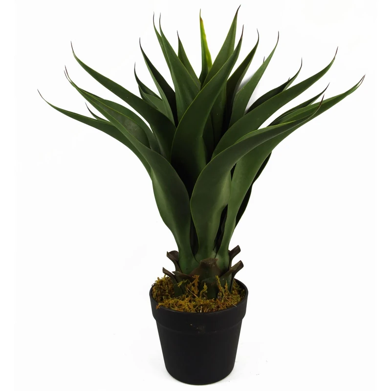 Botanik 55cm Artificial Yucca Plant