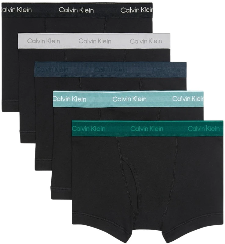 Calvin Klein Men’s 5 Pack Trunks with Logo Waistband, Multicolor (Black Bodies W Ink/Zoni Beach/Turf/), XL