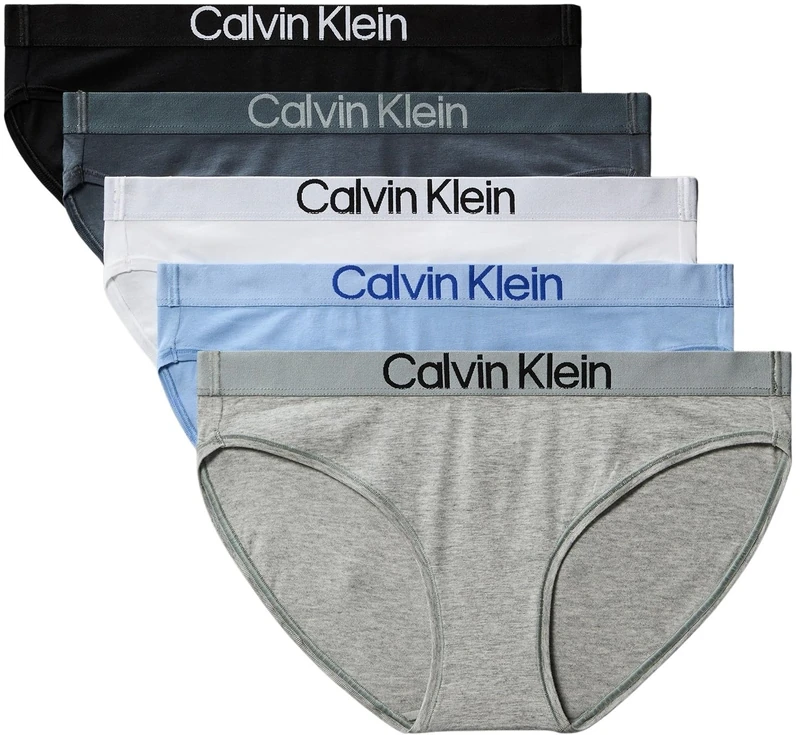 Calvin Klein Women's 5 Pack Bikini Briefs with Logo Waistband, Multicolor (Black/White/Grey Heather/Frozen Fio), L