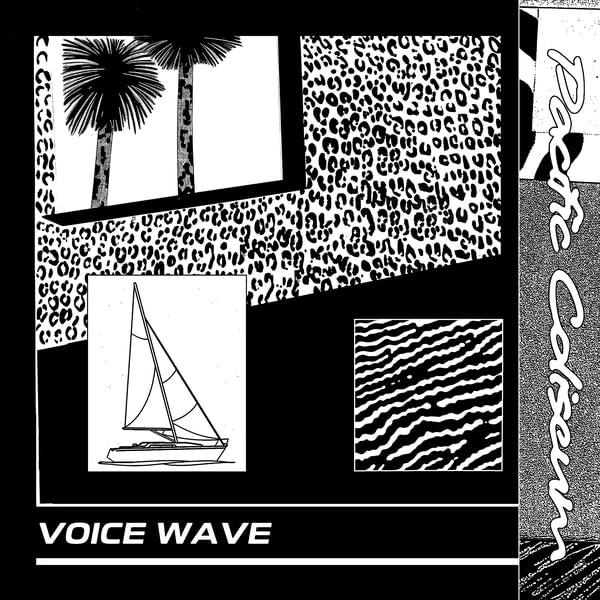 Voice Wave [VINYL]