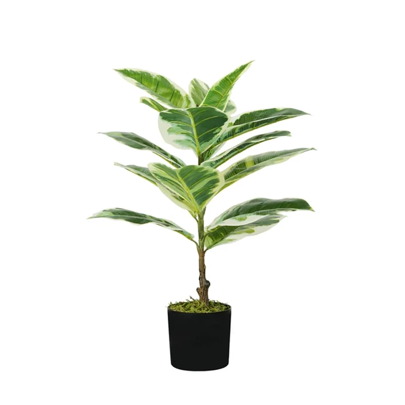 Avilia Artificial Elastic Ficus Plant, Green, 1 cm