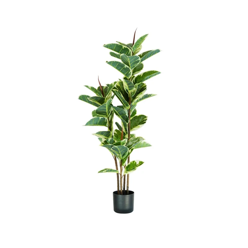 Avilia Artificial Elastic Ficus Plant, Green, 145 cm - Image 1