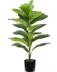 Wintem Artificial Ficus Lyrata Plant in Polyethylene with 21 Leaves, 75 cm, Vase with Moss, Indoor Decorative Plant