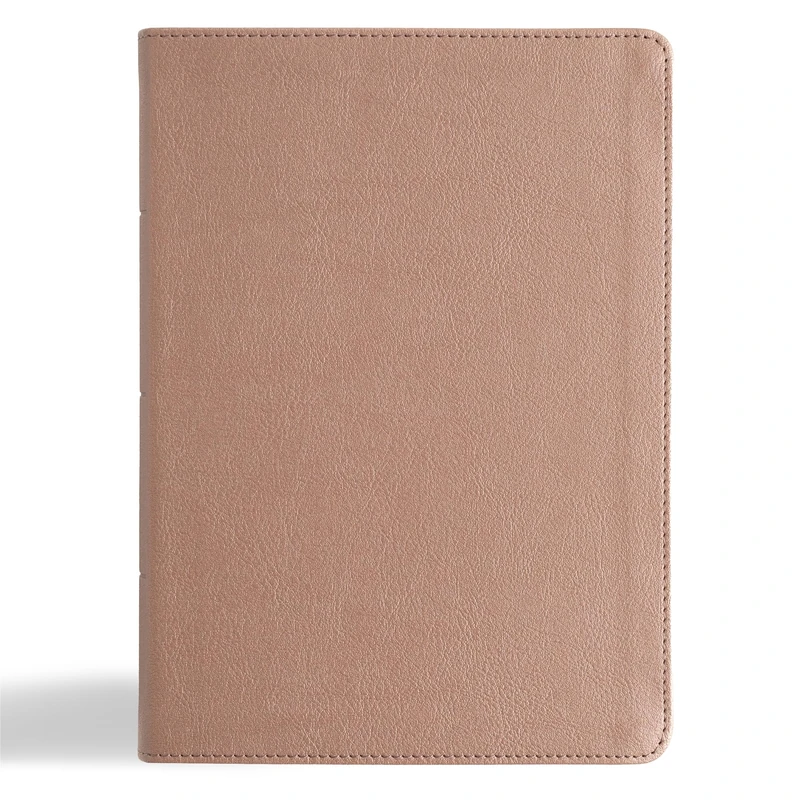 KJV Study Bible, Personal Size Edition, Rose Gold LeatherTouch